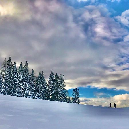 Apartment 26 Eighty Semmering Esterno foto